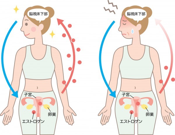 混乱する視床下部