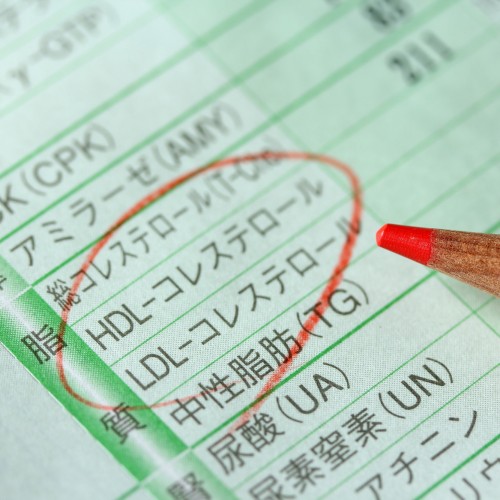 健康診断のコレステロールの項目